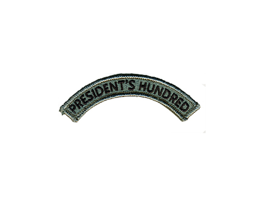 Патч лента 